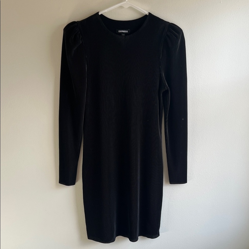 Express Black Long Sleeve Dress